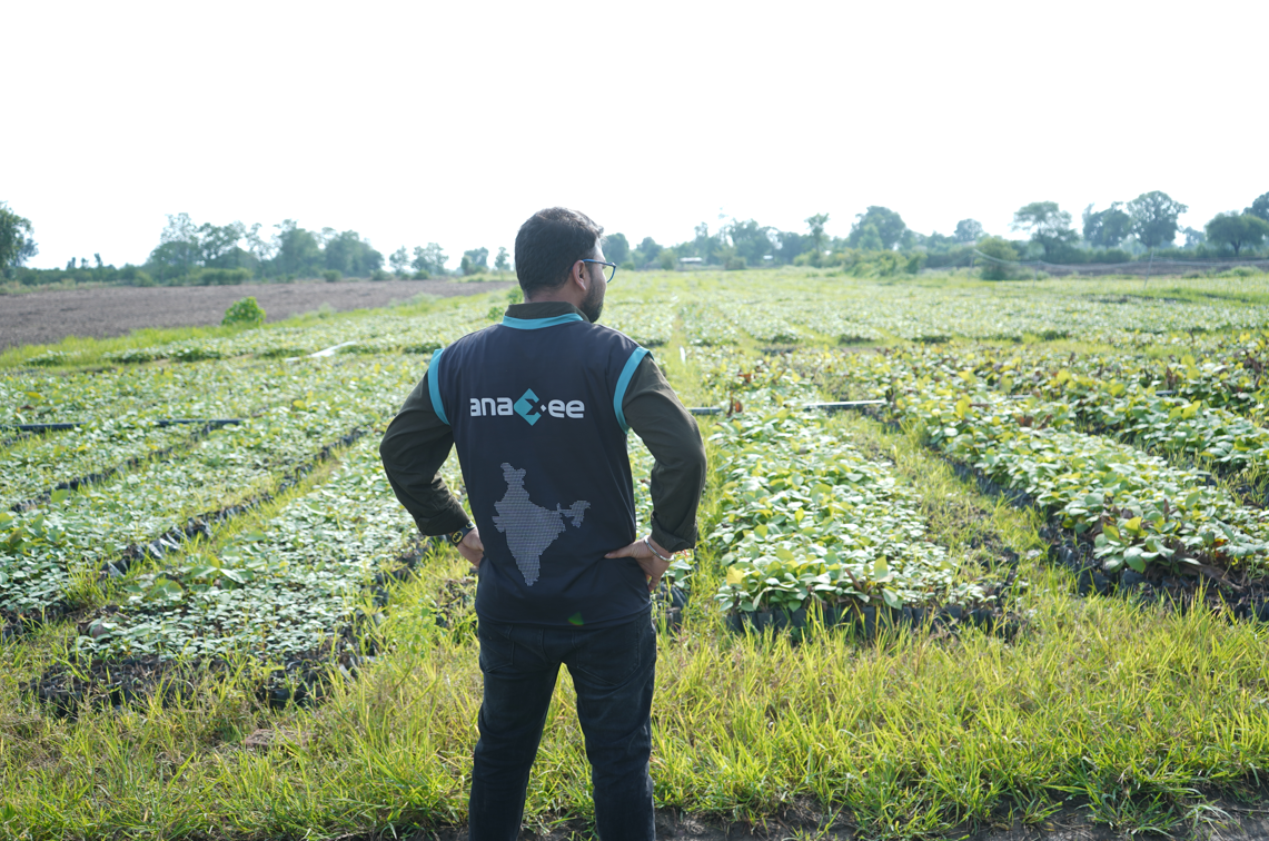 Field Worker Sapling nursery agroforestry carbon project in India
